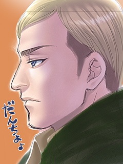 エルヴィン団長/進撃の巨人