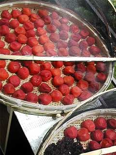 �����Ă܂�