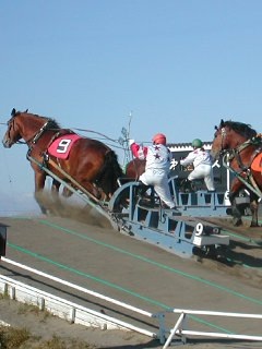 ばんえい十勝