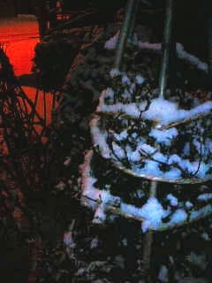 とうとう雪が…